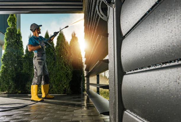 Best Dumpster Area Cleaning  in Orida City, FL